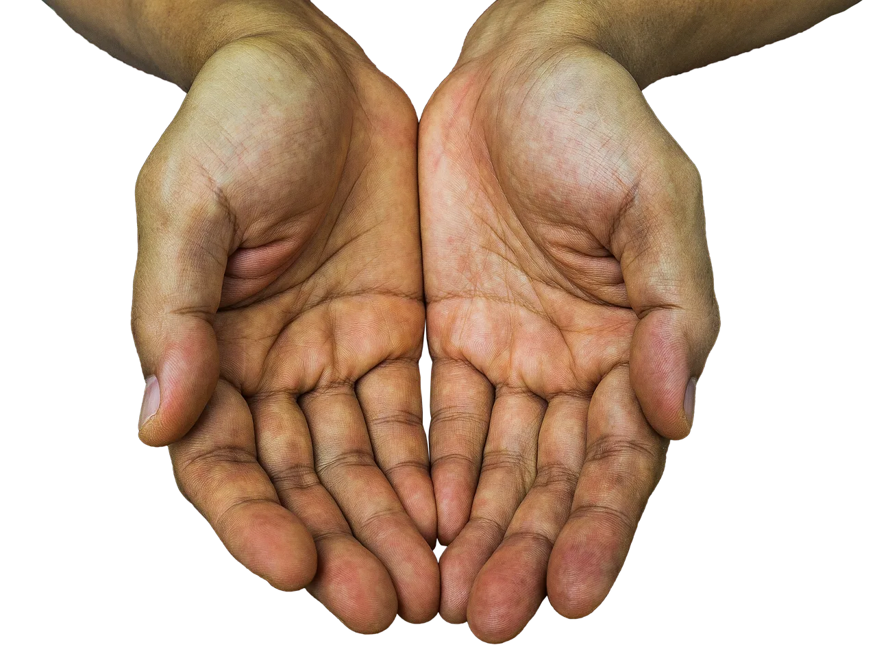 receiving hands, hands, receive, receiving, hold, palm, showing, receiving hands, hands, hands, receive, receive, receive, receive, receive, receiving, palm, palm, palm