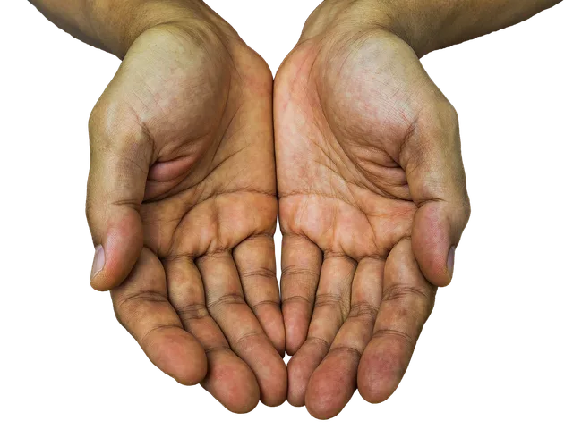 receiving hands, hands, receive, receiving, hold, palm, showing, receiving hands, hands, hands, receive, receive, receive, receive, receive, receiving, palm, palm, palm. Scegliere un risultato utile per il cliente